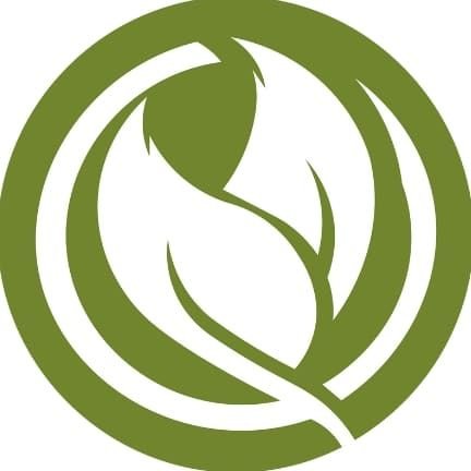🍏 Voćne sadnice iz Rasadnika Profesional.
🌱 Ponuda preko 300 sorti novih i autohtonih.