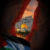Walaa Emad (@walaa88670647) 's Twitter Profile