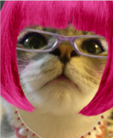 キーワードkeywords：猫cat☆お菓子sweets♪人形doll☆着物kimono♪ヲタ属性
猫モフ占いbot（@nekomof_uranai)やってます。猫をモフモフするための占いです。