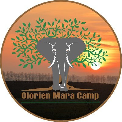 Olorien Mara Camp is a camp at the heart of Maasai Mara that offers you vast Scenic expanse of the African Savannah Plains with an untamed wilderness experience