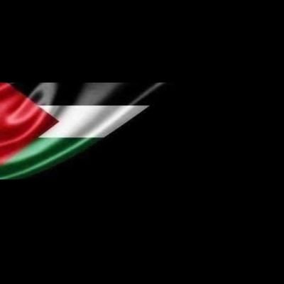 tamernabil89's profile picture. 