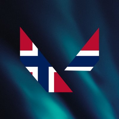 valorantnorge Profile Picture