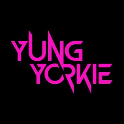 Insta: @yung_yorkie