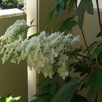 bGdVhdP9Gx86568's profile picture. 