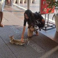 Deeksha (@aaaudacity) 's Twitter Profile