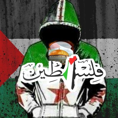 الهويّة: مِصريَّة.
المهنة: تدقيق لغوي ومراجعة نصيّة.
المؤهل: ليسانس آداب وتربية- لغة عربية.