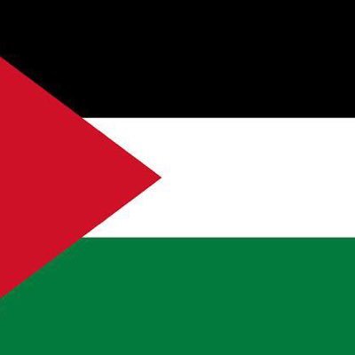 I STAND WITH PALESTINE 🇵🇸