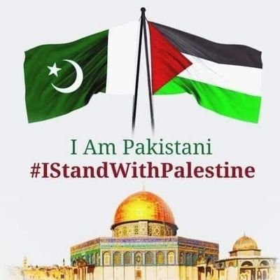 Sheraz__Shabbir's profile picture. Embarking on a journey of faith and knowledge. Sharing insights, wisdom, and unity within the Islamic community. Seeking mercy, peace, and guidance.💖