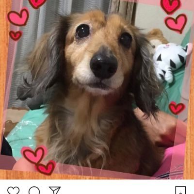 0617tsun's profile picture. 子供👧👦👧👧🌈映画🎬 音楽🎧韓国ドラマ📺スイーツ🍰🍧🍭スポーツ⚾️⚽️🏐⛸🏊‍♀️🥋富士山🗻大好き😍いつか家族で旅行に…✈️ 感謝の気持ちを忘れずに🍀🌸 無言フォロー🙏 無言フォロー歓迎❣️副業🙅‍♀️ 当選報告は心を込めて… Instagramでもさせていただきます🤗💕