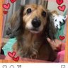 0617tsun's profile picture. 子供👧👦👧👧🌈映画🎬 音楽🎧韓国ドラマ📺スイーツ🍰🍧🍭スポーツ⚾️⚽️🏐⛸🏊‍♀️🥋富士山🗻大好き😍いつか家族で旅行に…✈️ 感謝の気持ちを忘れずに🍀🌸 無言フォロー🙏 無言フォロー歓迎❣️副業🙅‍♀️ 当選報告は心を込めて… Instagramでもさせていただきます🤗💕