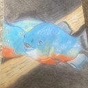 Peter Ansell - @Hobbitdaddy79 - Twitter