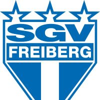 SGV Freiberg Fußball(@SGV_Freiberg) 's Twitter Profile Photo