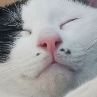 ivy (@ivyissosleepy) 's Twitter Profile Photo ivy (@ivyissosleepy) 's Twitter Profile Photo