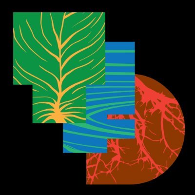TreesForDev Profile