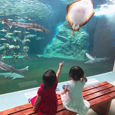 doo_4kids's profile picture. 二卵性と一卵性の4児ママ🙋‍♀️ 14w〜切迫にて自宅安静、37w4d和痛分娩にて出産🐶🐤//24w〜TTTS疑いで入院→転院して31wTTTS発症＋切迫、33w4d普通分娩にて出産🦕🦖 美肌目指して肌育中✨↓インスタもフォローしていただけると嬉しいです☺️🌈 ルビーセル取り扱っています🫶🏼