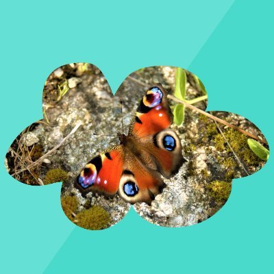 DemosKratos55's profile picture. #Trzaskowski2025