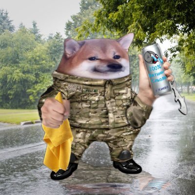 Couldn’t get enough vatnik tears so joined the Fellahood. Woof Woof Awoo! #NAFO #MUGA 🇺🇸🔱
