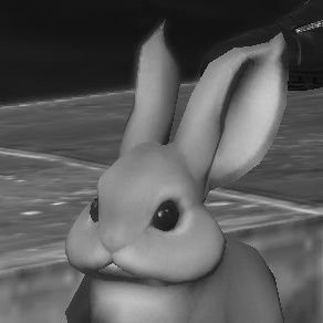 슈가さんのプロフィール画像