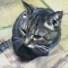 mikan_syrup's profile picture. お酒（ビール）とカレーと猫と音楽、地道にポイント集め。懸賞応募の為に始めましたが、日記代わりにちょくちょく（最近増えてきた）呟きます。