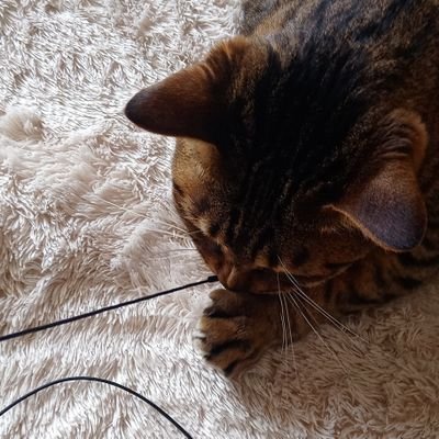 AaAjBxihb1btynB's profile picture. 