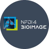 NFDI4BIOIMAGE(@nfdi4bioimage) 's Twitter Profile Photo