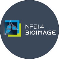 NFDI4BIOIMAGE (@nfdi4bioimage) 's Twitter Profile
