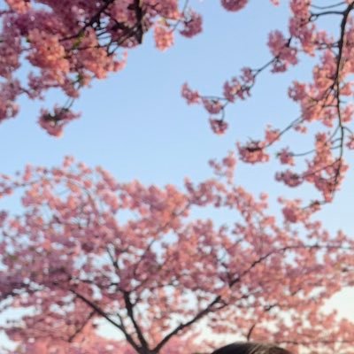 SahoUshio's profile picture. 