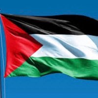 Naat E Mustafa🇵🇸🍉 (@naatemustafa0) 's Twitter Profile