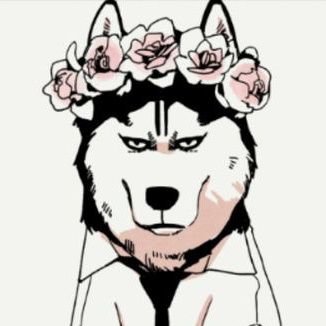 chiyoさんのプロフィール画像