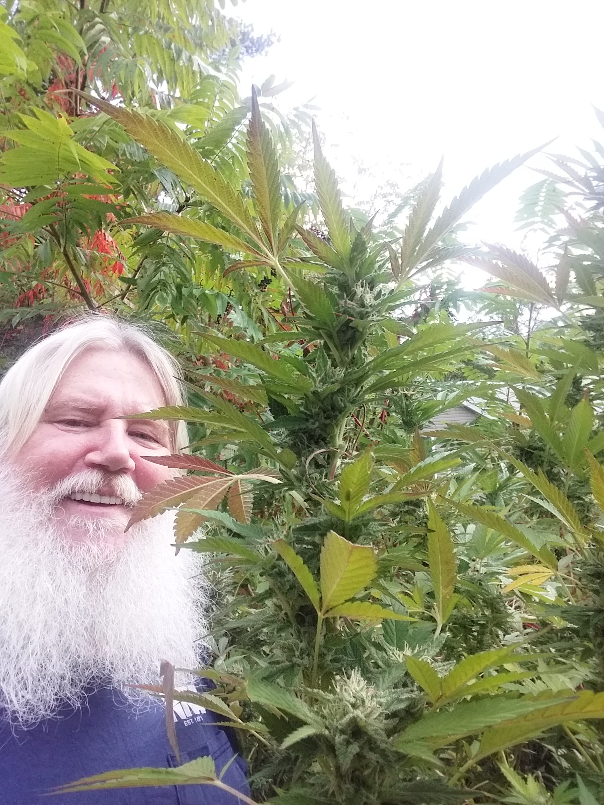 Old hippie hoping for world peace and love also amateur grow💚💙✌️🫶☮️🌹🌴🌞