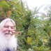weedmonkey47 (@weedmonkey47) Twitter profile photo weedmonkey47 (@weedmonkey47) Twitter profile photo