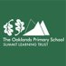 The Oaklands Primary School (@TheOaklandsBham) Twitter profile photo