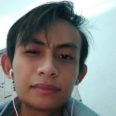 🇻🇳 Vietnam 🇻🇳
       Gemini
