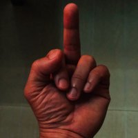 daddymomahalko (@daddymomahalko) 's Twitter Profile Photo