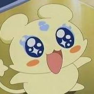 𝓼𝓱𝓸𝓴𝓸 (@_xx41s) Twitter profile photo