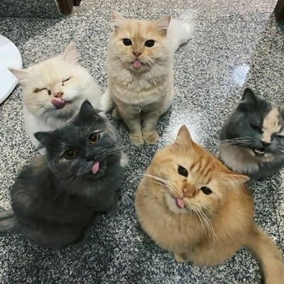 goddaynnice's profile picture. 