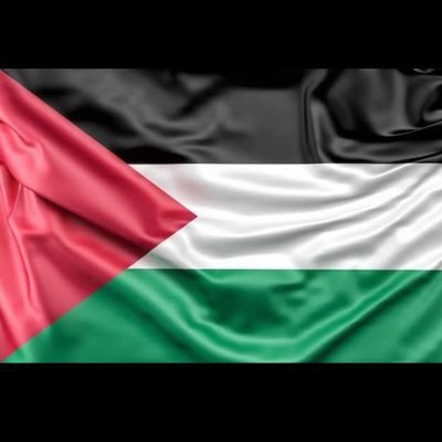 sabirkh84166979's profile picture. Indian Muslim