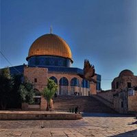 ربنا ياخد المفترى حساب 2 (@abdo22395741) Twitter profile photo