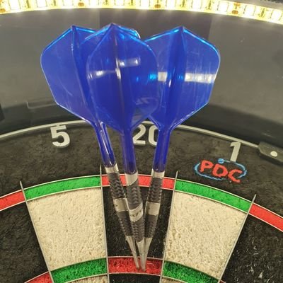 I am the 10x Back to Back & Reigning Darts Champion of my Garden Shed 🤣🎯