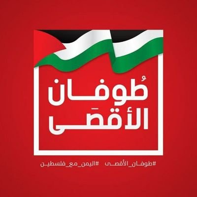 Ali Al Nahari 🇵🇸 Profile