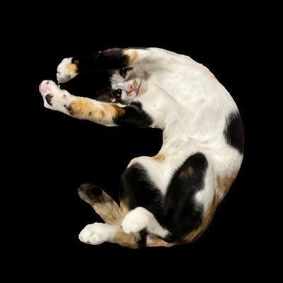 DSaluv's profile picture. 