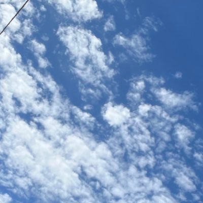 FpacX9mMds260's profile picture. 