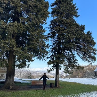 pwanlaphan's profile picture. 