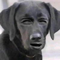 Who Is This? (@swaggedoutrell) 's Twitter Profile