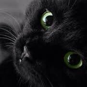 Viralworldfr's profile picture. 