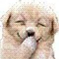 Marja-Liisa Holappa (@utuuli) 's Twitter Profile