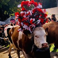 María Estefanía (@mariestefilopez) 's Twitter Profile Photo