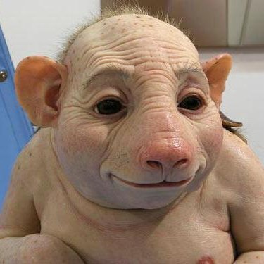 kypopugay's profile picture. 