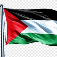 طوفان الأقصى (@hasmghadr77918) 's Twitter Profile