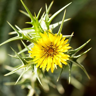 Benbenliv's profile picture. Travelling, Nature Photography, Good films & Anime Fan, You'll NEVER Walk Alone.